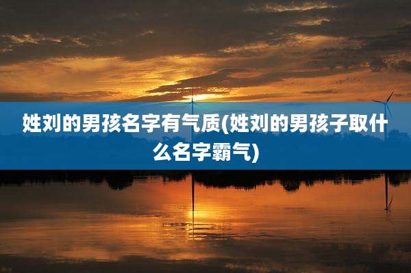 姓刘的男孩名字有气质(姓刘的男孩子取什么名字霸气)