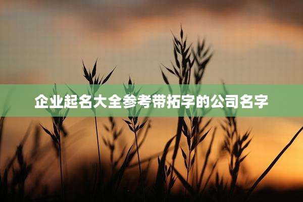 企业起名大全参考带拓字的公司名字