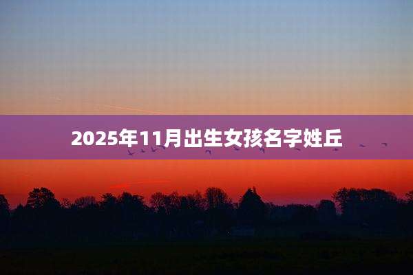2025年11月出生女孩名字姓丘