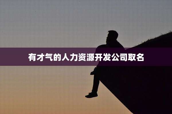有才气的人力资源开发公司取名
