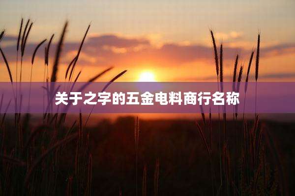 关于之字的五金电料商行名称