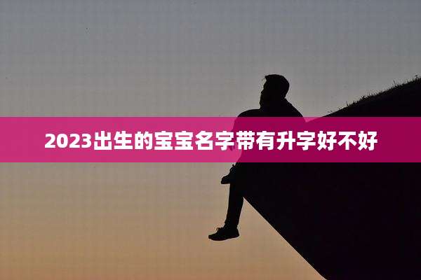 2023出生的宝宝名字带有升字好不好