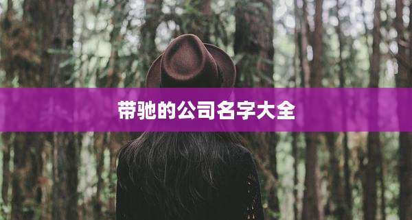 带驰的公司名字大全