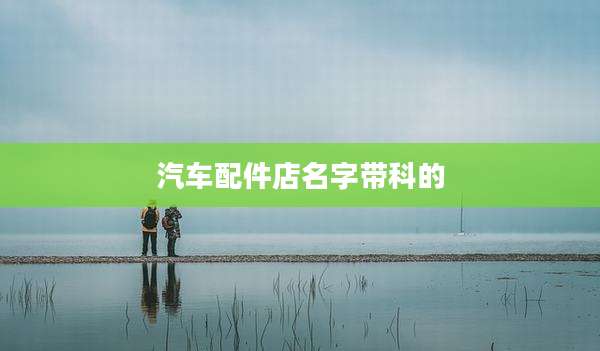 汽车配件店名字带科的