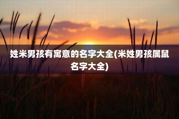 姓米男孩有寓意的名字大全(米姓男孩属鼠名字大全)