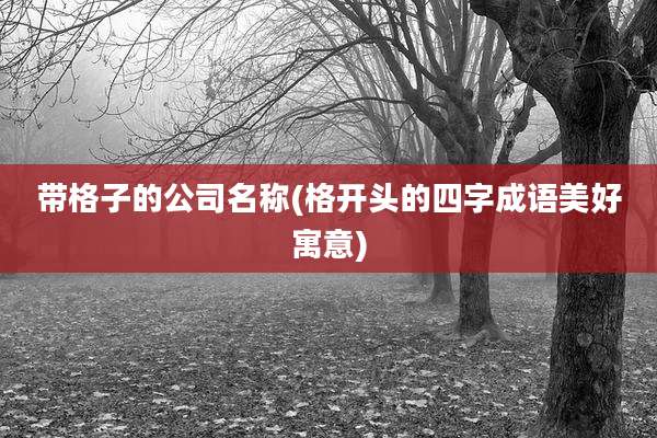 带格子的公司名称(格开头的四字成语美好寓意)