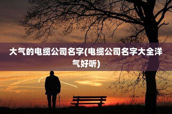 大气的电缆公司名字(电缆公司名字大全洋气好听)