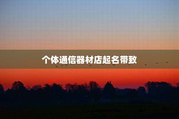 个体通信器材店起名带致