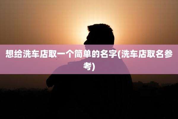 想给洗车店取一个简单的名字(洗车店取名参考)