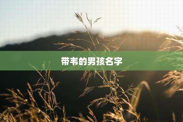 带韦的男孩名字