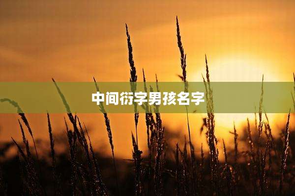 中间衍字男孩名字