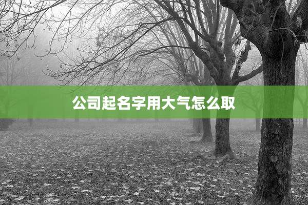公司起名字用大气怎么取