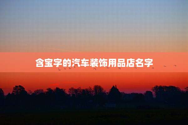 含宝字的汽车装饰用品店名字