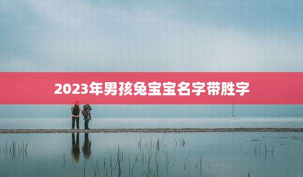 2023年男孩兔宝宝名字带胜字