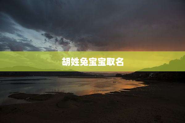 胡姓兔宝宝取名