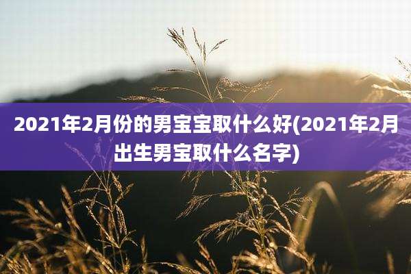 2021年2月份的男宝宝取什么好(2021年2月出生男宝取什么名字)