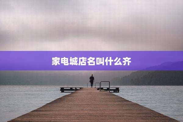 家电城店名叫什么齐