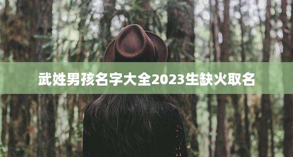 武姓男孩名字大全2023生缺火取名