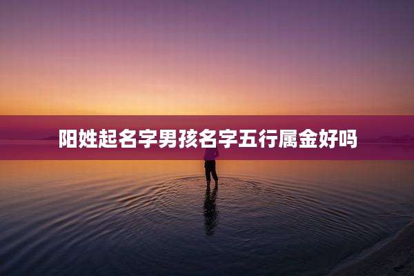 阳姓起名字男孩名字五行属金好吗