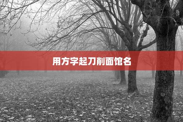 用方字起刀削面馆名