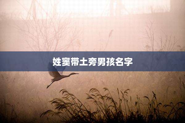 姓窦带土旁男孩名字