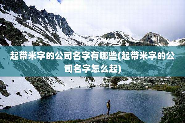 起带米字的公司名字有哪些(起带米字的公司名字怎么起)