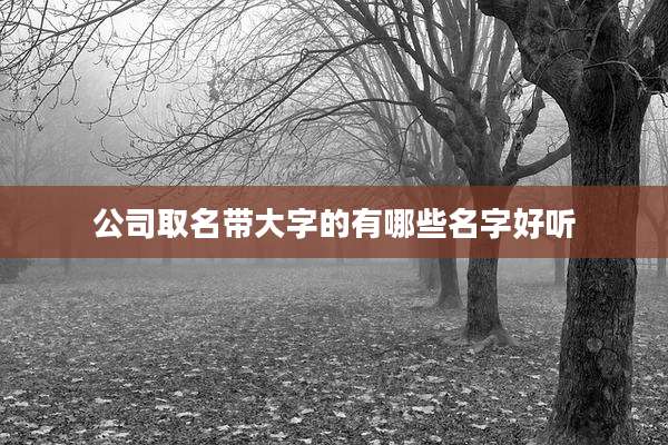 公司取名带大字的有哪些名字好听