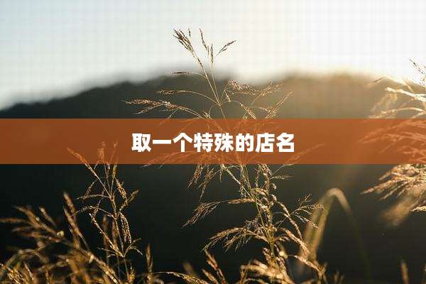 取一个特殊的店名