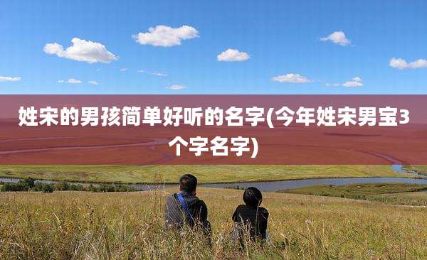 姓宋的男孩简单好听的名字(今年姓宋男宝3个字名字)