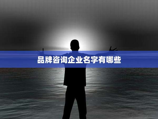品牌咨询企业名字有哪些