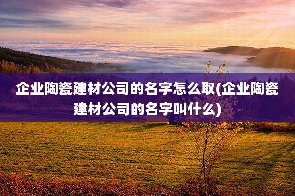 企业陶瓷建材公司的名字怎么取(企业陶瓷建材公司的名字叫什么)