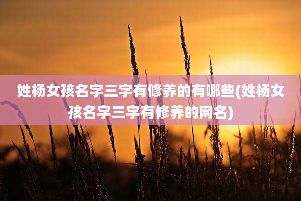 姓杨女孩名字三字有修养的有哪些(姓杨女孩名字三字有修养的网名)