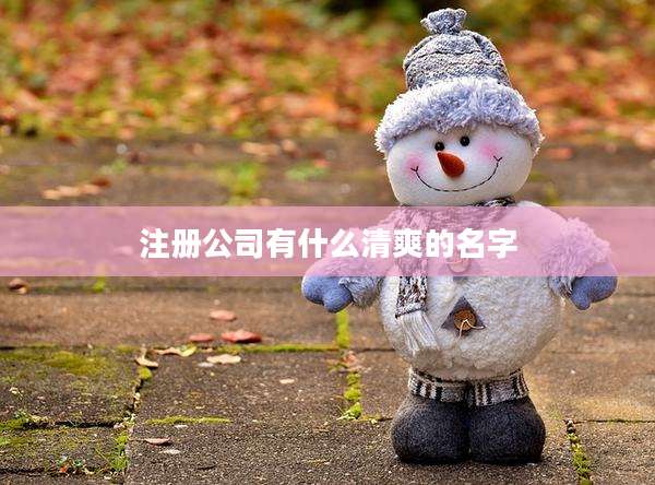 注册公司有什么清爽的名字