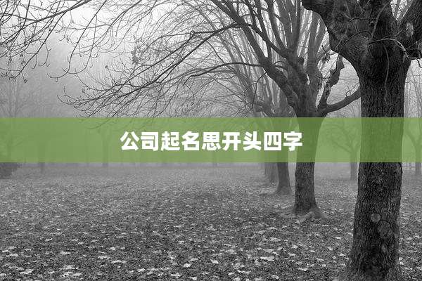 公司起名思开头四字