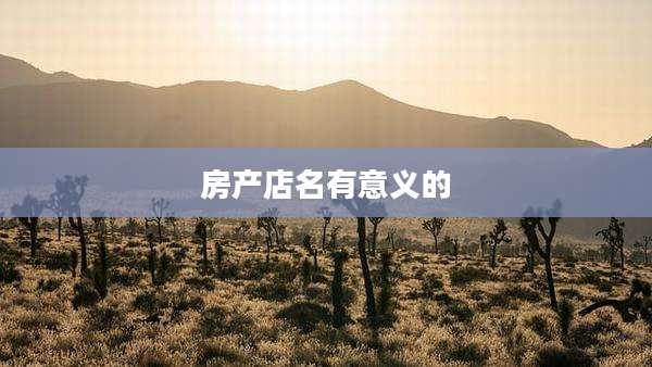房产店名有意义的