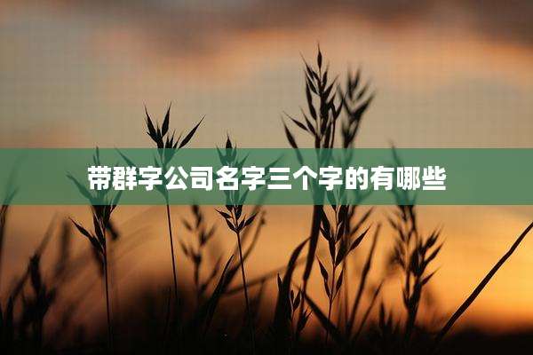 带群字公司名字三个字的有哪些