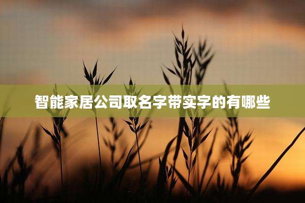 智能家居公司取名字带实字的有哪些