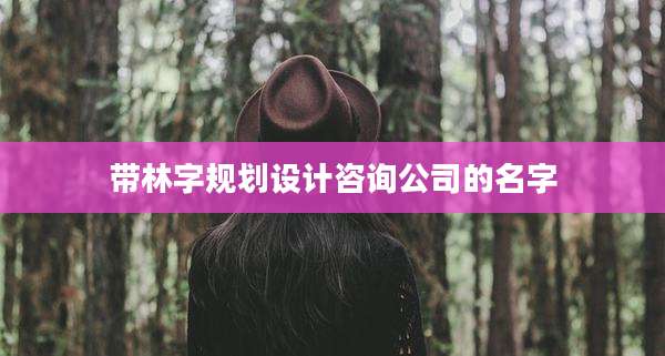 带林字规划设计咨询公司的名字