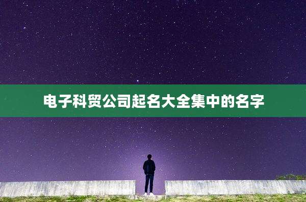 电子科贸公司起名大全集中的名字