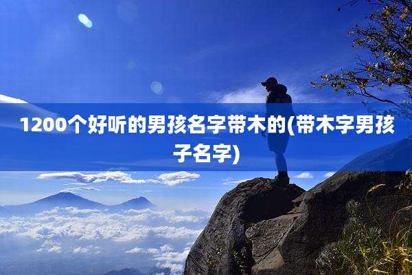 1200个好听的男孩名字带木的(带木字男孩子名字)