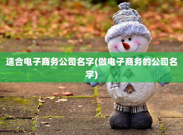 适合电子商务公司名字(做电子商务的公司名字)