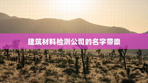 建筑材料检测公司的名字带鼎