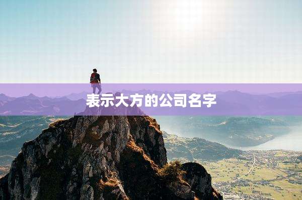 表示大方的公司名字