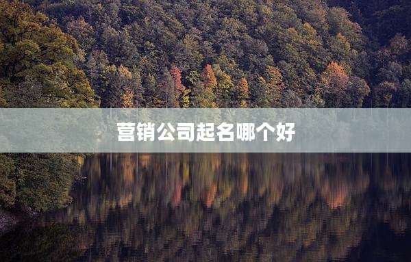 营销公司起名哪个好
