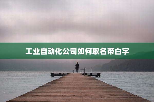 工业自动化公司如何取名带白字