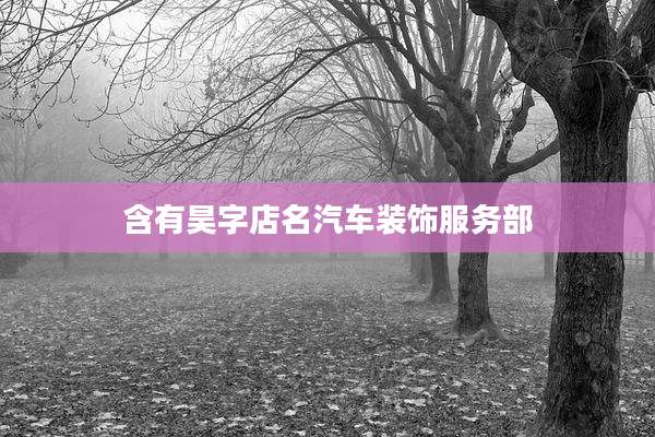 含有昊字店名汽车装饰服务部