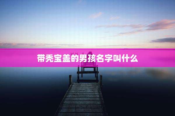 带秃宝盖的男孩名字叫什么