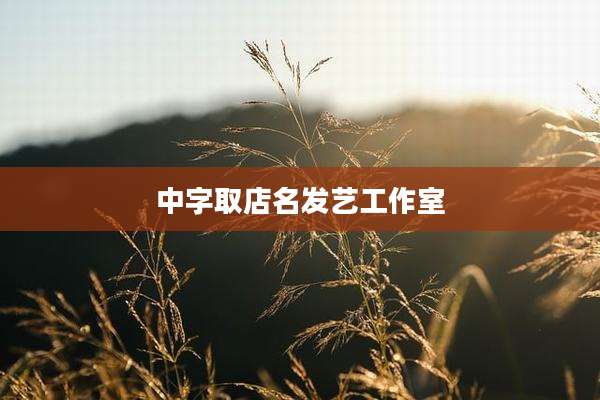 中字取店名发艺工作室