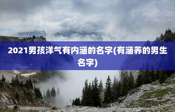 2021男孩洋气有内涵的名字(有涵养的男生名字)
