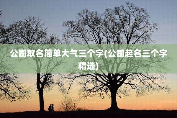 公司取名简单大气三个字(公司起名三个字精选)